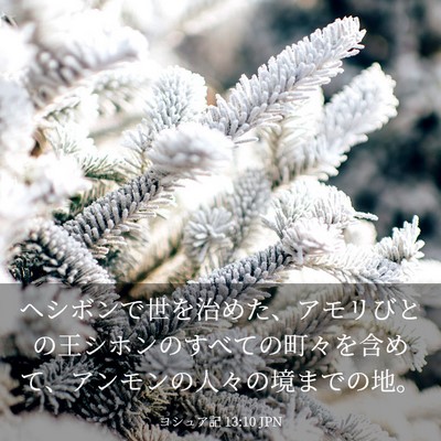 Picture 03 - ヨシュア記 13:10 JPN - ヘシボンで世を治めた、アモリびと - Bible Verse Picture