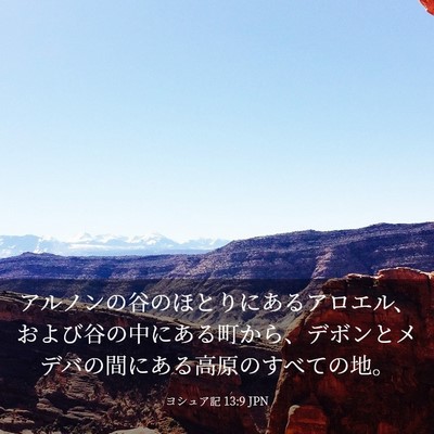 Picture 03 - ヨシュア記 13:9 JPN - アルノンの谷のほとりにあるアロエ - Bible Verse Picture