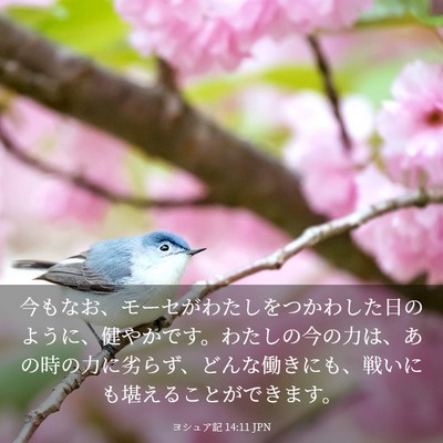 Picture 03 - ヨシュア記 14:11 JPN - 今もなお、モーセがわたしをつかわ - Bible Verse Picture