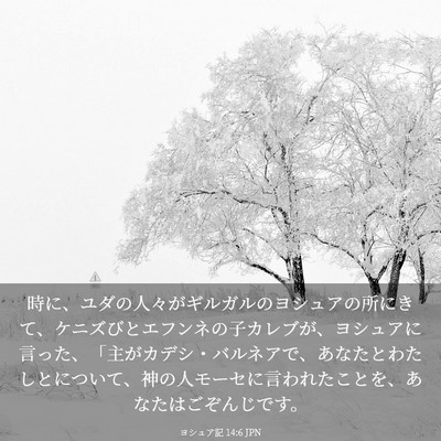 Picture 03 - ヨシュア記 14:6 JPN - 時に、ユダの人々がギルガルのヨシ - Bible Verse Picture