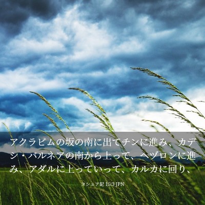 Picture 03 - ヨシュア記 15:3 JPN - アクラビムの坂の南に出てチンに進 - Bible Verse Picture