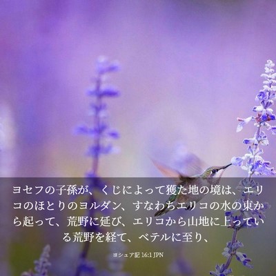 Picture 03 - ヨシュア記 16:1 JPN - ヨセフの子孫が、くじによって獲た - Bible Verse Picture