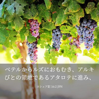 Picture 03 - ヨシュア記 16:2 JPN - ベテルからルズにおもむき、アルキ - Bible Verse Picture
