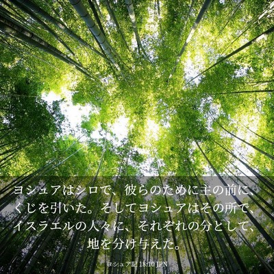 Picture 03 - ヨシュア記 18:10 JPN - ヨシュアはシロで、彼らのために主 - Bible Verse Picture