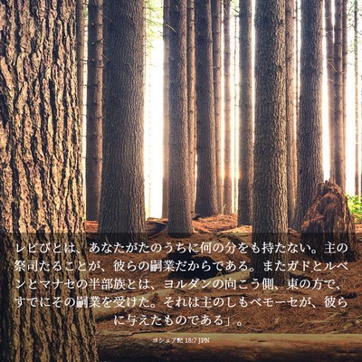 Picture 03 - ヨシュア記 18:7 JPN - レビびとは、あなたがたのうちに何 - Bible Verse Picture