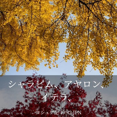 Picture 03 - ヨシュア記 19:42 JPN - シャラビム、アヤロン、イテラ、 - Bible Verse Picture
