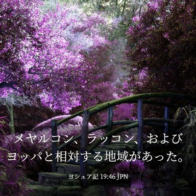 Picture 03 - ヨシュア記 19:46 JPN - メヤルコン、ラッコン、およびヨッ - Bible Verse Picture
