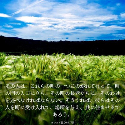 Picture 03 - ヨシュア記 20:4 JPN - その人は、これらの町の一つにのが - Bible Verse Picture