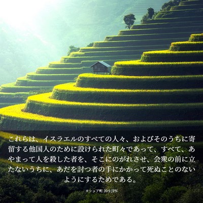 Picture 03 - ヨシュア記 20:9 JPN - これらは、イスラエルのすべての人 - Bible Verse Picture