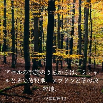Picture 03 - ヨシュア記 21:30 JPN - アセルの部族のうちからは、ミシャ - Bible Verse Picture