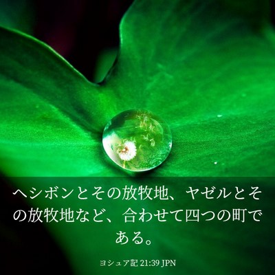 Picture 03 - ヨシュア記 21:39 JPN - ヘシボンとその放牧地、ヤゼルとそ - Bible Verse Picture