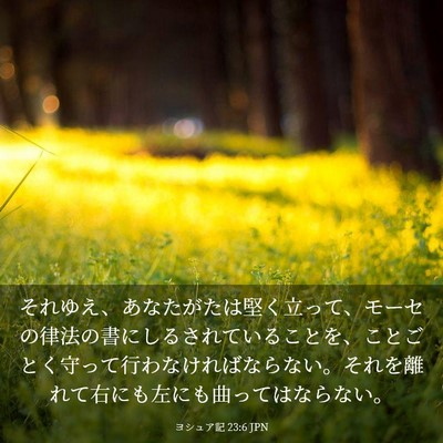Picture 03 - ヨシュア記 23:6 JPN - それゆえ、あなたがたは堅く立って - Bible Verse Picture
