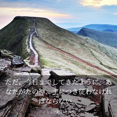 Picture 03 - ヨシュア記 23:8 JPN - ただ、今日までしてきたように、あ - Bible Verse Picture