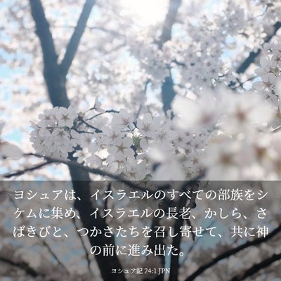 Picture 03 - ヨシュア記 24:1 JPN - ヨシュアは、イスラエルのすべての - Bible Verse Picture
