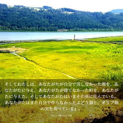Picture 03 - ヨシュア記 24:13 JPN - そしてわたしは、あなたがたが自分 - Bible Verse Picture