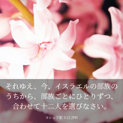 Picture 03 - ヨシュア記 3:12 JPN - それゆえ、今、イスラエルの部族の - Bible Verse Picture