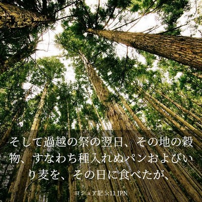 Picture 03 - ヨシュア記 5:11 JPN - そして過越の祭の翌日、その地の穀 - Bible Verse Picture