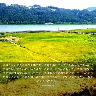 Picture 03 - ヨシュア記 5:6 JPN - イスラエルの人々は四十年の間、荒 - Bible Verse Picture