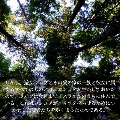 Picture 03 - ヨシュア記 6:25 JPN - しかし、遊女ラハブとその父の家の - Bible Verse Picture