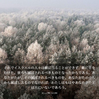 Picture 03 - ヨシュア記 7:12 JPN - それでイスラエルの人々は敵に当る - Bible Verse Picture
