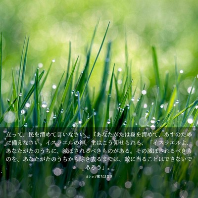 Picture 03 - ヨシュア記 7:13 JPN - 立って、民を清めて言いなさい、『 - Bible Verse Picture
