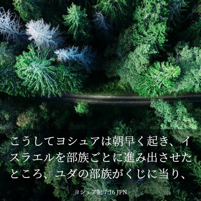 Picture 03 - ヨシュア記 7:16 JPN - こうしてヨシュアは朝早く起き、イ - Bible Verse Picture