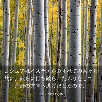 Picture 03 - ヨシュア記 8:15 JPN - ヨシュアはイスラエルのすべての人 - Bible Verse Picture