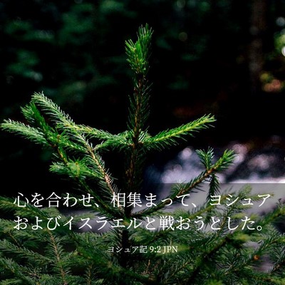 Picture 03 - ヨシュア記 9:2 JPN - 心を合わせ、相集まって、ヨシュア - Bible Verse Picture
