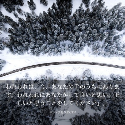 Picture 03 - ヨシュア記 9:25 JPN - われわれは、今、あなたの手のうち - Bible Verse Picture