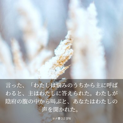Picture 03 - ヨナ書 2:2 JPN - 言った、「わたしは悩みのうちから - Bible Verse Picture