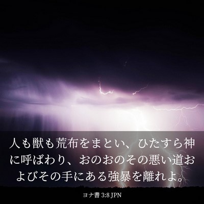 Picture 03 - ヨナ書 3:8 JPN - 人も獣も荒布をまとい、ひたすら神 - Bible Verse Picture