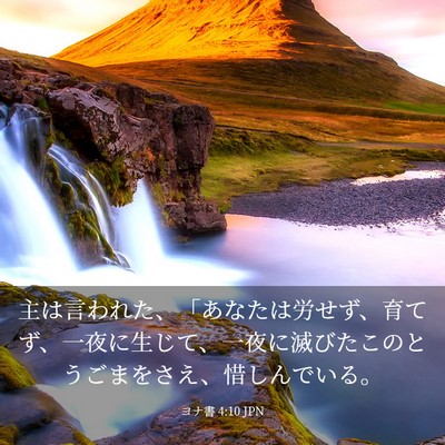 Picture 03 - ヨナ書 4:10 JPN - 主は言われた、「あなたは労せず、 - Bible Verse Picture