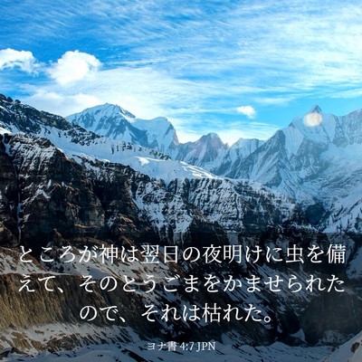 Picture 03 - ヨナ書 4:7 JPN - ところが神は翌日の夜明けに虫を備 - Bible Verse Picture