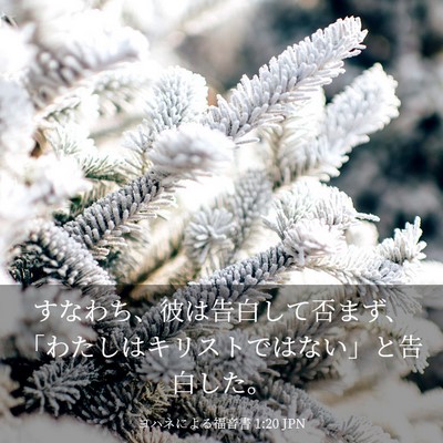 Picture 03 - ヨハネによる福音書 1:20 JPN - すなわち、彼は告白して否まず、「 - Bible Verse Picture