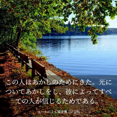 Picture 03 - ヨハネによる福音書 1:7 JPN - この人はあかしのためにきた。光に - Bible Verse Picture