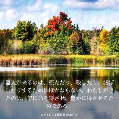 Picture 03 - ヨハネによる福音書 10:10 JPN - 盗人が来るのは、盗んだり、殺した - Bible Verse Picture