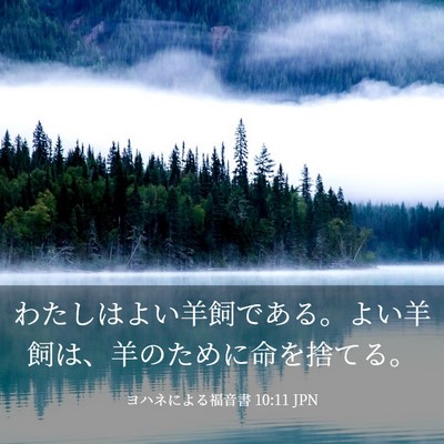 Picture 03 - ヨハネによる福音書 10:11 JPN - わたしはよい羊飼である。よい羊飼 - Bible Verse Picture