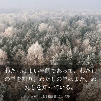 Picture 03 - ヨハネによる福音書 10:14 JPN - わたしはよい羊飼であって、わたし - Bible Verse Picture