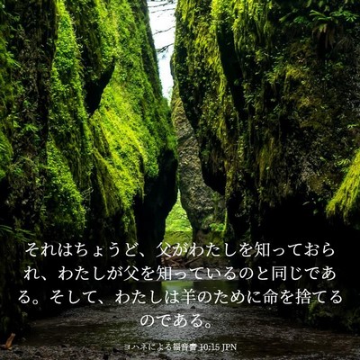 Picture 03 - ヨハネによる福音書 10:15 JPN - それはちょうど、父がわたしを知っ - Bible Verse Picture