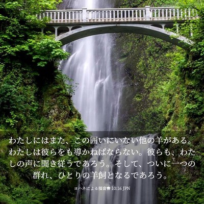 Picture 03 - ヨハネによる福音書 10:16 JPN - わたしにはまた、この囲いにいない - Bible Verse Picture
