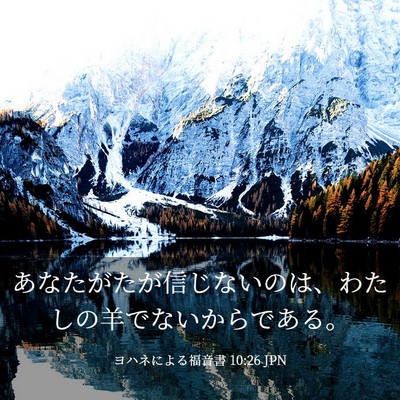 Picture 03 - ヨハネによる福音書 10:26 JPN - あなたがたが信じないのは、わたし - Bible Verse Picture