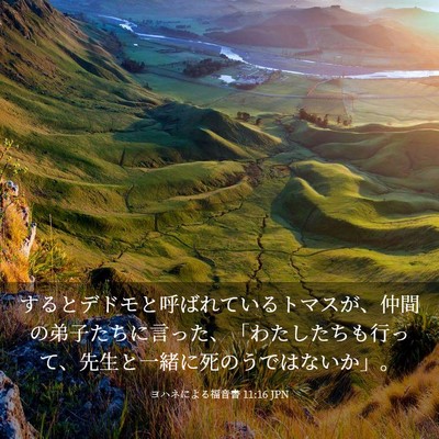 Picture 03 - ヨハネによる福音書 11:16 JPN - するとデドモと呼ばれているトマス - Bible Verse Picture