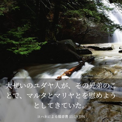 Picture 03 - ヨハネによる福音書 11:19 JPN - 大ぜいのユダヤ人が、その兄弟のこ - Bible Verse Picture