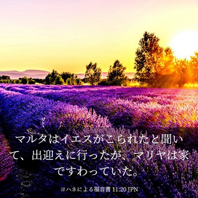 Picture 03 - ヨハネによる福音書 11:20 JPN - マルタはイエスがこられたと聞いて - Bible Verse Picture