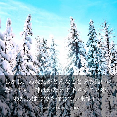 Picture 03 - ヨハネによる福音書 11:22 JPN - しかし、あなたがどんなことをお願 - Bible Verse Picture