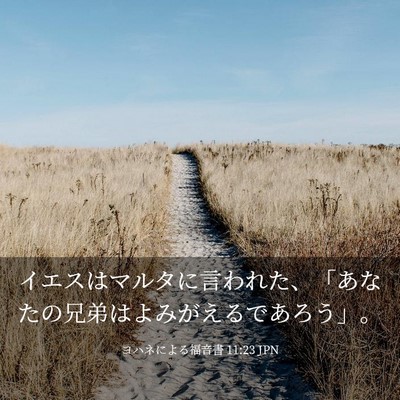 Picture 03 - ヨハネによる福音書 11:23 JPN - イエスはマルタに言われた、「あな - Bible Verse Picture