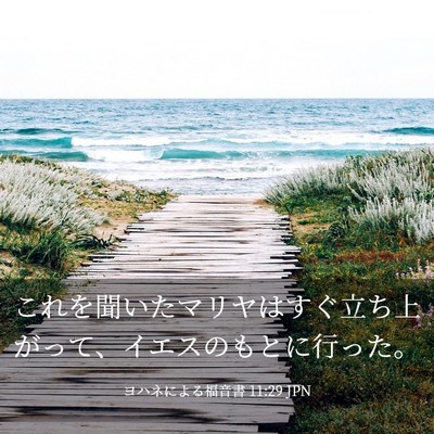 Picture 03 - ヨハネによる福音書 11:29 JPN - これを聞いたマリヤはすぐ立ち上が - Bible Verse Picture