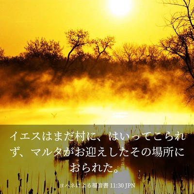 Picture 03 - ヨハネによる福音書 11:30 JPN - イエスはまだ村に、はいってこられ - Bible Verse Picture