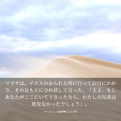Picture 03 - ヨハネによる福音書 11:32 JPN - マリヤは、イエスのおられる所に行 - Bible Verse Picture