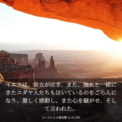 Picture 03 - ヨハネによる福音書 11:33 JPN - イエスは、彼女が泣き、また、彼女 - Bible Verse Picture